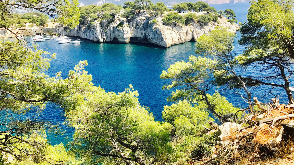 Water's Magic & Negative Ions
