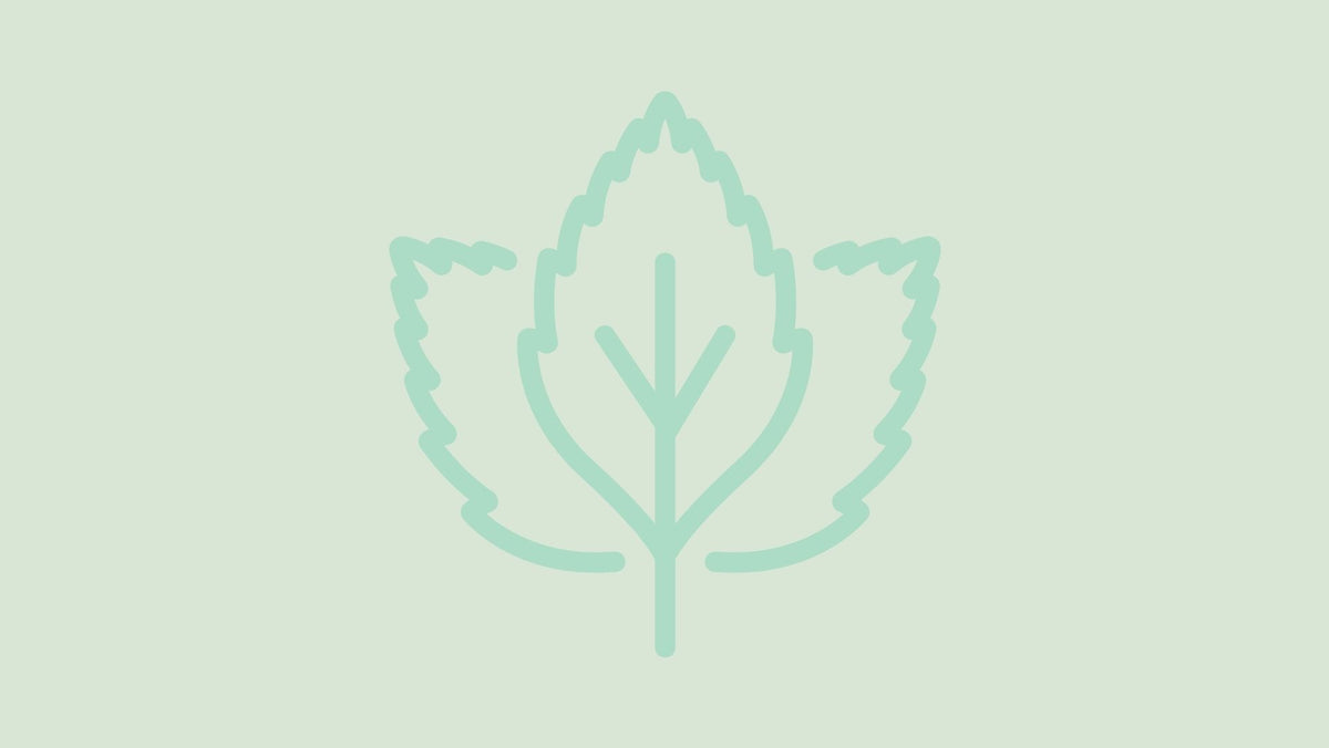 The Power of Peppermint Oil