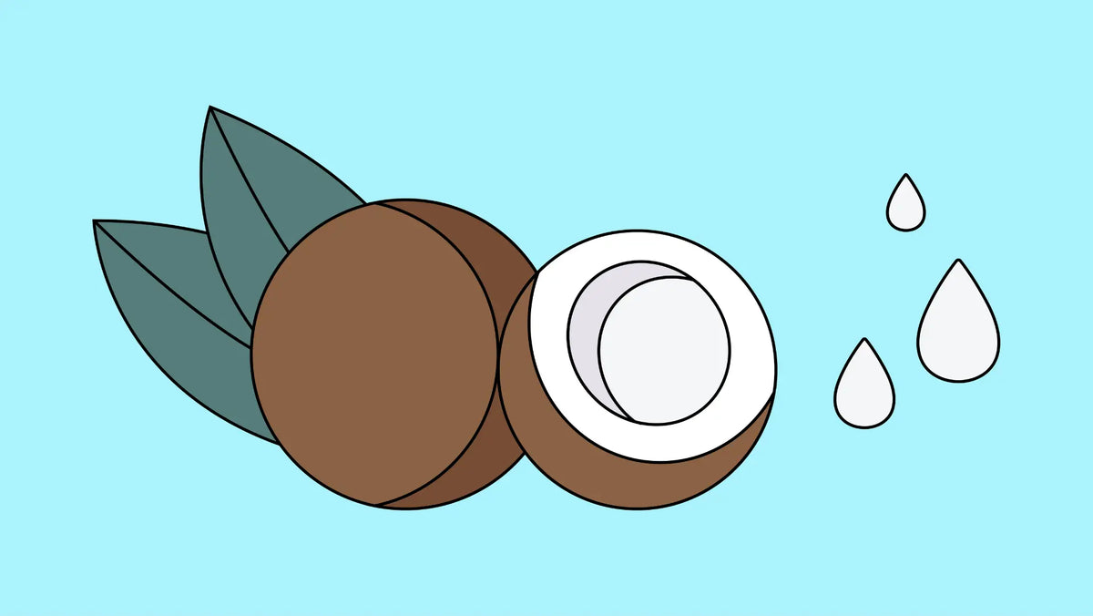 The Benefits of Coconut Oil in Toothpaste