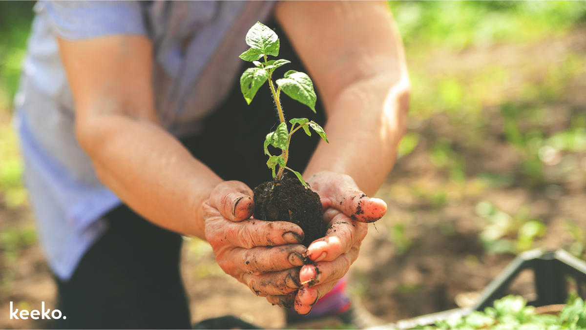 Think dirty! Why a little dirt can be good for you 🌱🤲
